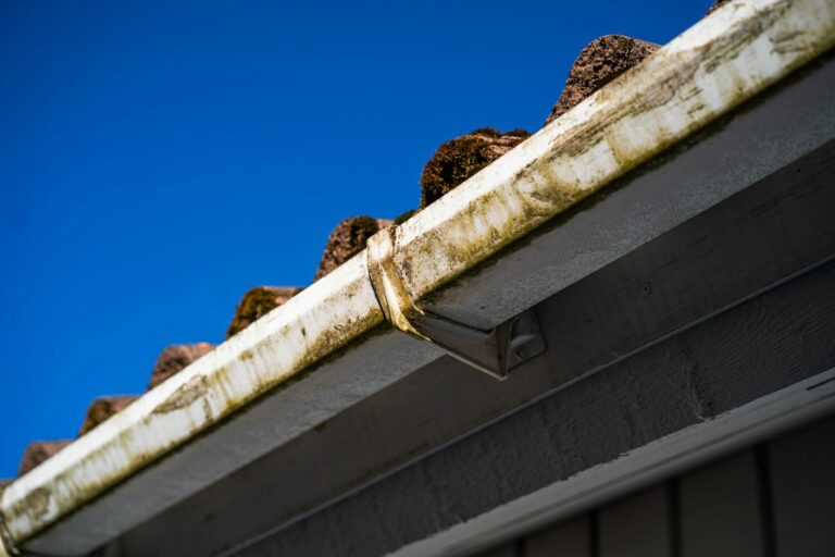 Leaves and debris collected in a roof gutter before fall home maintenance